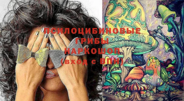 синтетический гашиш Алексин