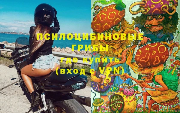 синтетический гашиш Алексин